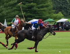 Polo action, Player about to hit the ball